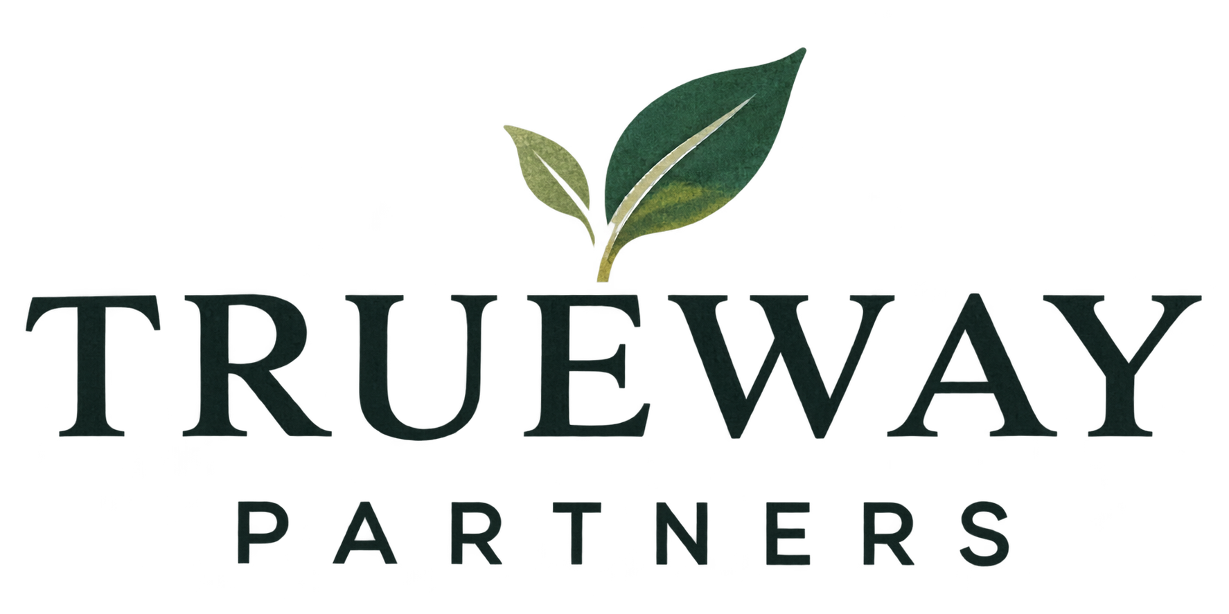 True Way Partners
